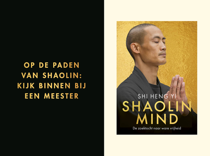 Wat is de Shaolin Mind? Ontvang Hoofdstuk 1 gratis!