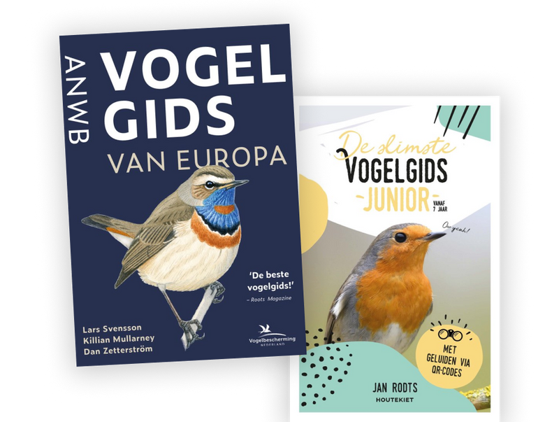 Tel je mee tijdens het Grote Vogelweekend?